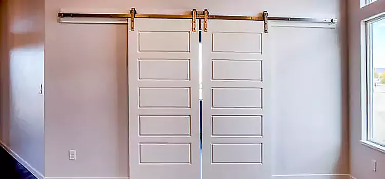 Glass Barn Door with Installation Hardware Kit Antioch